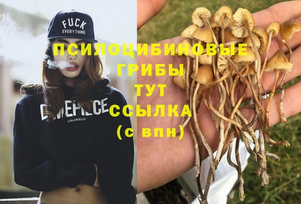 спиды Туринск
