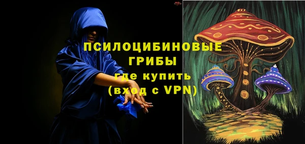apvp Тында